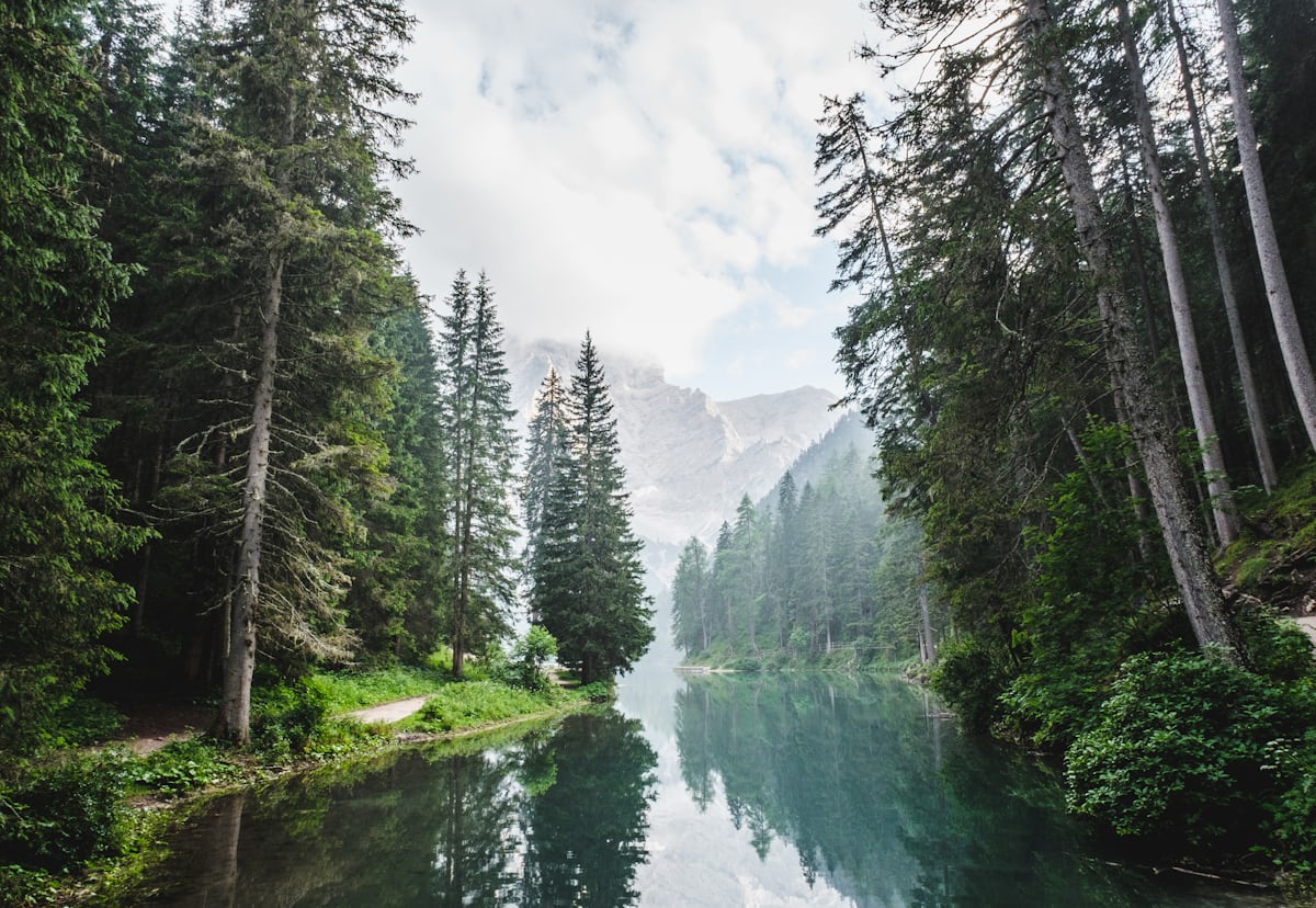 A still lake mirroring forested slopes